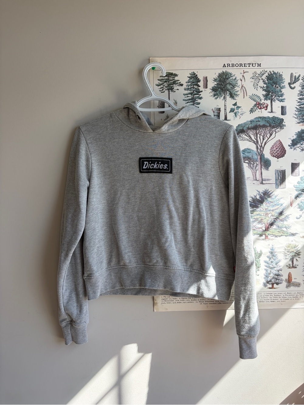 Dickies Women's Grey Hooded Sweatshirt small